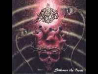 pochette album Summon the beast