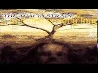 pochette album And life is very long