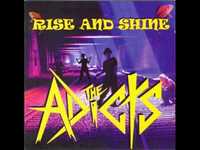 pochette album Shiney shiney