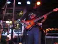 pochette album Metal gear - jungle