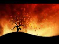 pochette album The dark end of the street