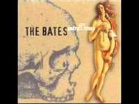 pochette album She won't come back