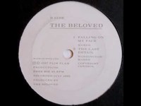 pochette album The last detail