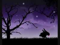 pochette album Queen of hearts