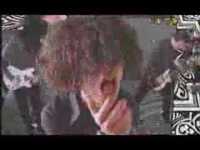 pochette album Dale earnhardt's seatbelt