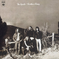 pochette album Lost my drivin' wheel