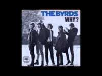 pochette album Why? [single version]