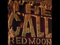 pochette album Like you never been loved