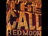 pochette album The hand that feeds you