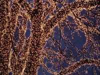 pochette album Have yourself a merry little christmas