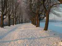 pochette album Winter wonderland