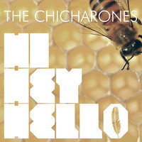 pochette album Hi hey hello