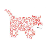 pochette album Warm night