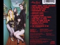 pochette album Dames, booze, chains, and boots