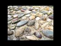 pochette album Cobblestone road (she's been walkin')