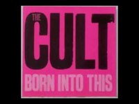 pochette album War pony destroyer