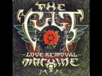 pochette album Wolf child's blues