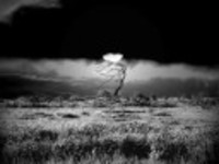 pochette album Spilt milk