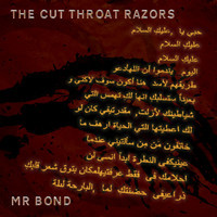 pochette album Mr. bond