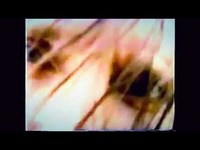 pochette album Shellshocksoul