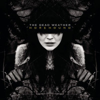 pochette album 60 feet tall