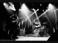 pochette album Fall from grace