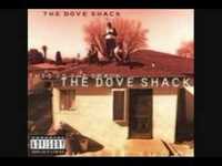 pochette album This is the shack