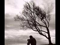 pochette album It's your world now