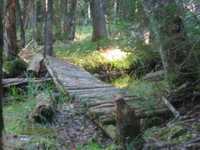 pochette album Seven bridges road