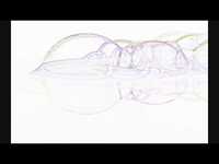 pochette album The power cosmic [deepsky remix]