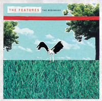 pochette album Walk you home