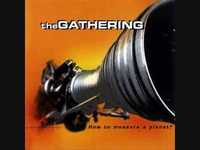 pochette album Frail (you might as well be me)