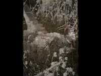 pochette album Jelena