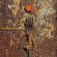 pochette album Burned bridges