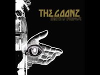 pochette album Between chromosome and collapse