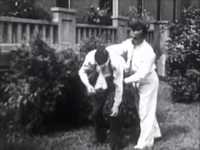 pochette album (i've got) survival sickness