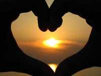 pochette album Warm summer night