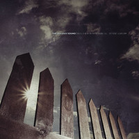 pochette album What's wrong is everywhere