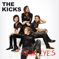 pochette album Hawk eyes
