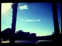 pochette album Love is love