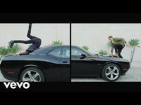 pochette album Heart of a dog