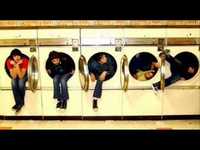 pochette album American collectibles