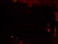 pochette album Unusual