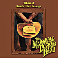 pochette album Good ole hurtin' song