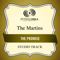 pochette album The promise