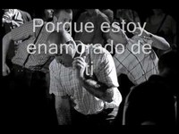 pochette album It must be true love