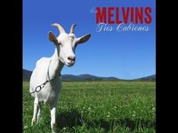 pochette album City dump