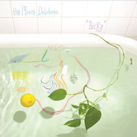 pochette album Citrus