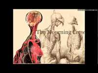 pochette album The inevitable descent