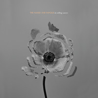 pochette album The mess